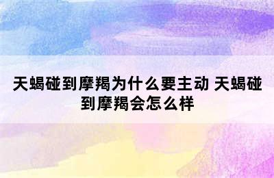 天蝎碰到摩羯为什么要主动 天蝎碰到摩羯会怎么样